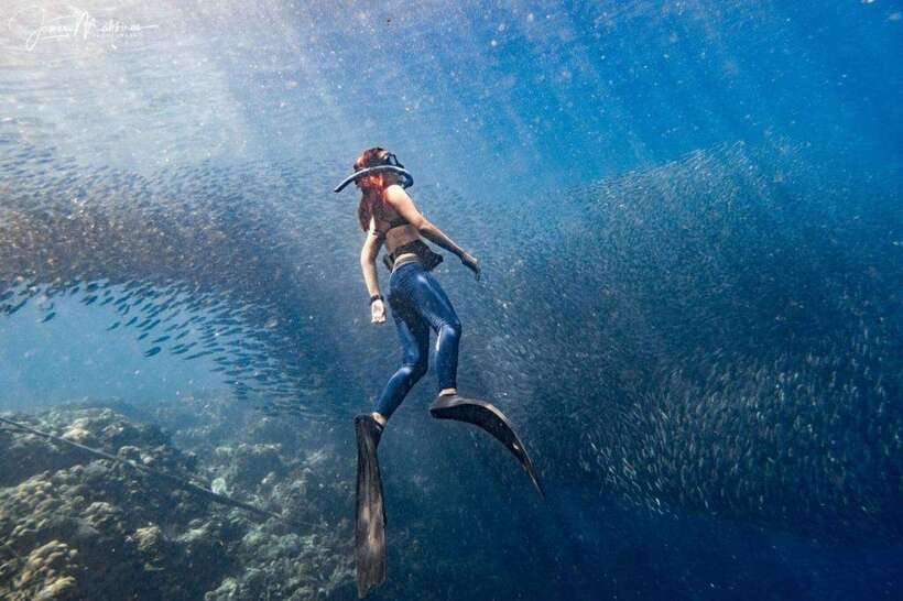 Moalboal: Scuba Diving and Pescador Island Hopping - Two Scuba Sessions Around Pescador Island