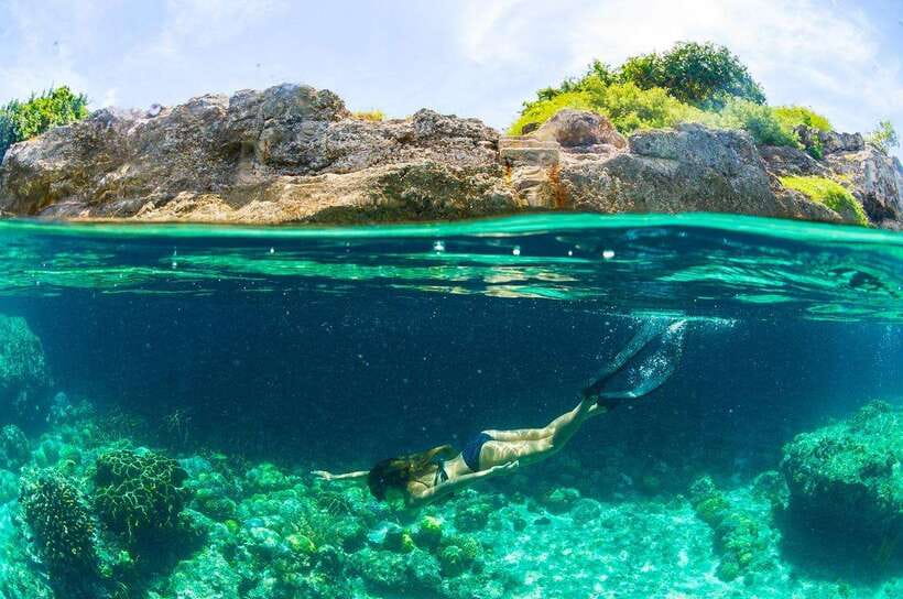 Moalboal: Scuba Diving and Pescador Island Hopping - What the Included Equipment and Meal Mean