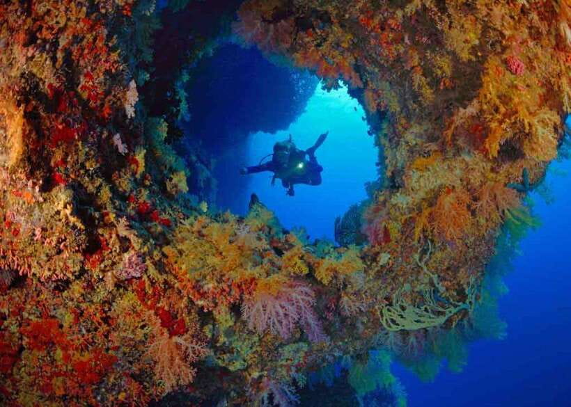 Moalboal: Scuba Diving and Pescador Island Hopping - Practical Things to Bring and Confirm