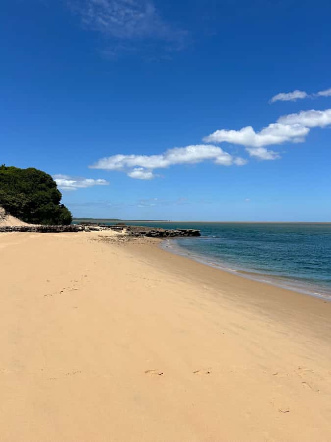 Mozambique: Inhaca, Santa Maria, and Portuguese Islands Tour - Food, equipment, and what to pack