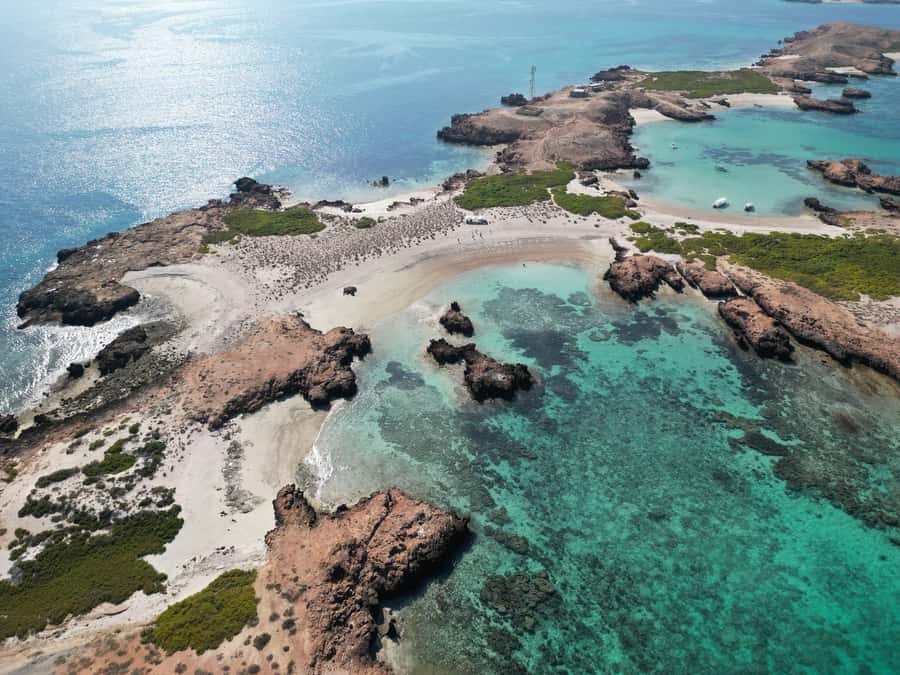 Muscat: Daymaniat Islands Tour - Key points to know before booking