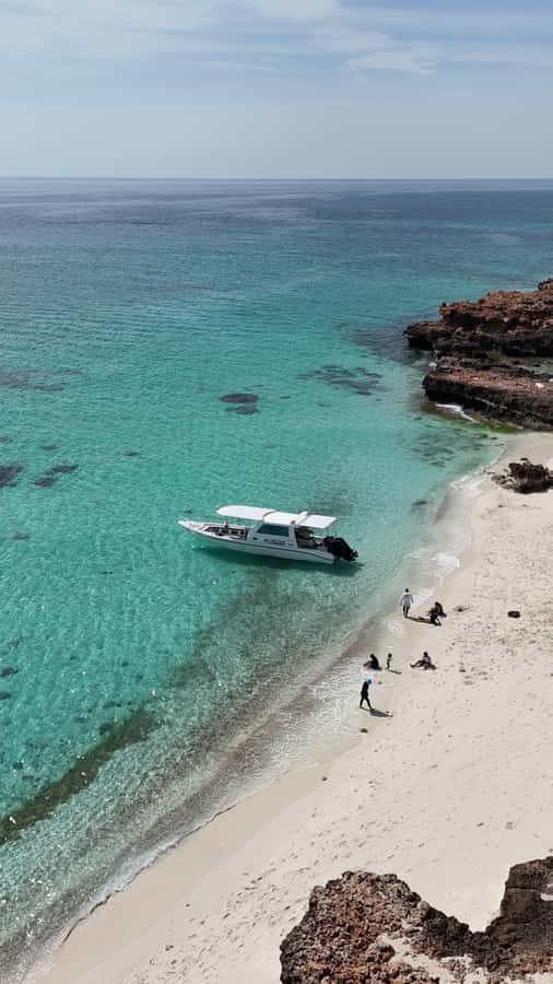 Muscat: Daymaniat Islands Tour - Three stops, island time, and sunset