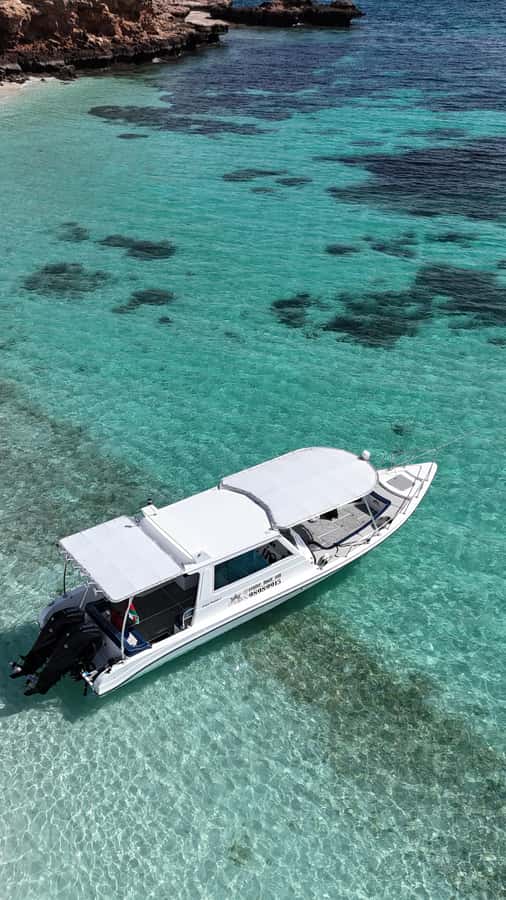 Muscat: Daymaniat Islands Tour - Who will enjoy this trip most