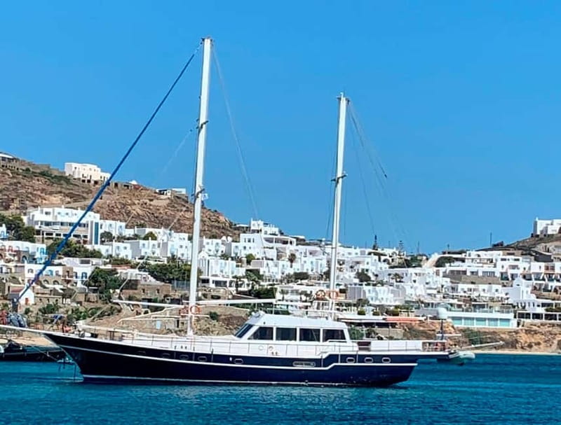Mykonos: Delos and Rhenia Islands Cruise with BBQ Meal - Why this cruise works so well from Mykonos
