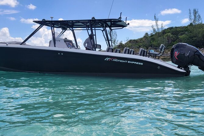 Nas: 3 islands Tour ,snorkel, Turtles, pigs and lunch - Green Turtle Cay: snorkeling with fish and turtles