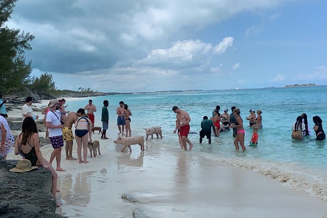 Nas: 3 islands Tour ,snorkel, Turtles, pigs and lunch - What the crew adds to the day