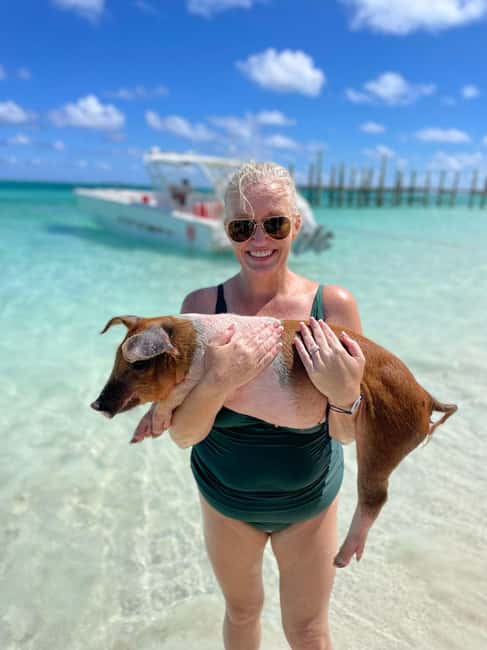 Nassau: 3-Island Snorkel Tour with Pigs, Beach Club, & Lunch - Should you book the Nassau three-island tour?
