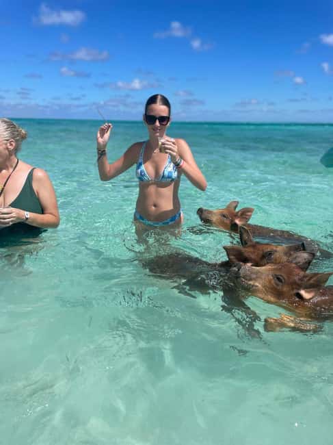 Nassau: 3-Island Snorkel Tour with Pigs, Beach Club, & Lunch - Who will enjoy this outing most?