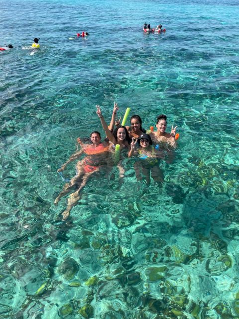 Nassau: 3 Islands Boat w/ Swimming Pigs, Snorkeling & Turtle - Green Cay: a short turtle watch