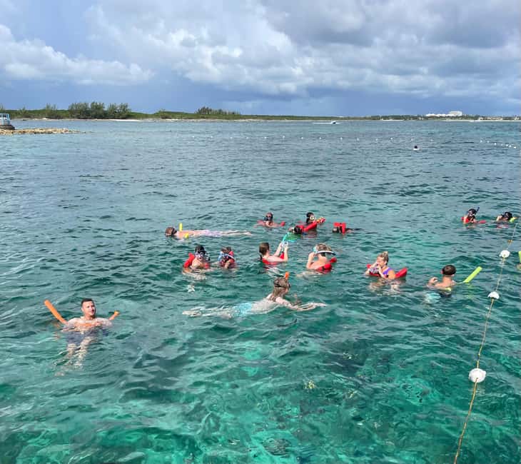 Nassau: 3 Islands Boat w/ Swimming Pigs, Snorkeling & Turtle - Who should book this excursion