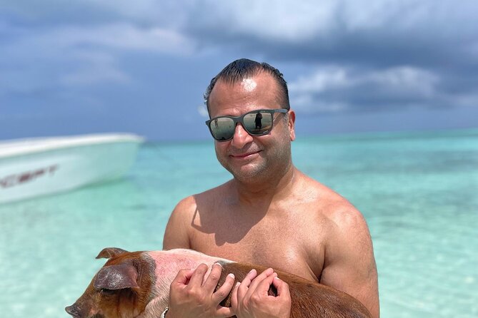 Nassau: 3 islands Pigs,Turtles,Snorkel & Beach Club with lunch - Cruise-ship timing and meeting details