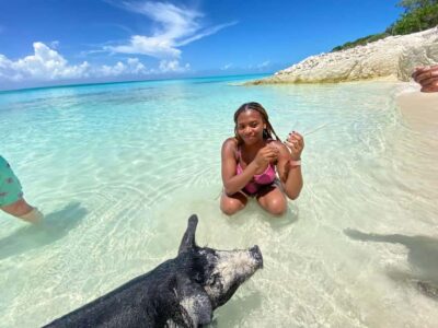 3 Islands Tour, Snorkel, Pig Beach, Turtles & Lunch