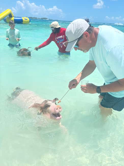 Nassau: 4-Island Tour Swimming Pigs, turtles, snorkeling - Four islands, one compact day on the water