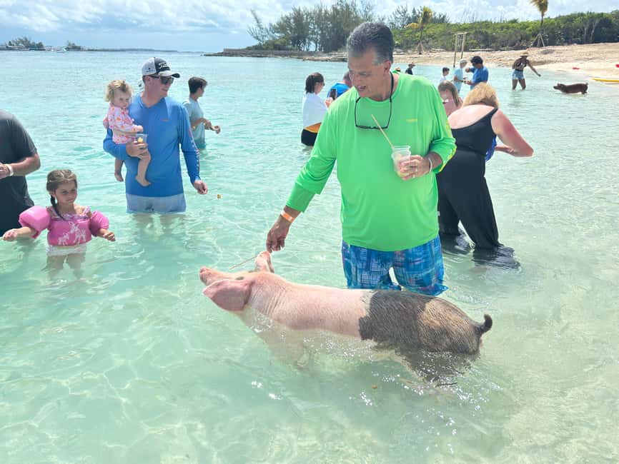 Nassau: 4-Island Tour Swimming Pigs, turtles, snorkeling - The protected reef: a useful snorkeling stop