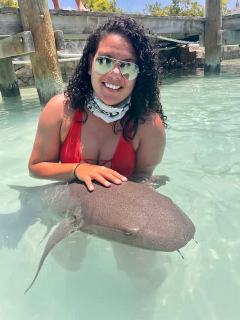 Nassau: Discover Exuma Island Hopping and Swimming Pigs Tour - Key details at a glance