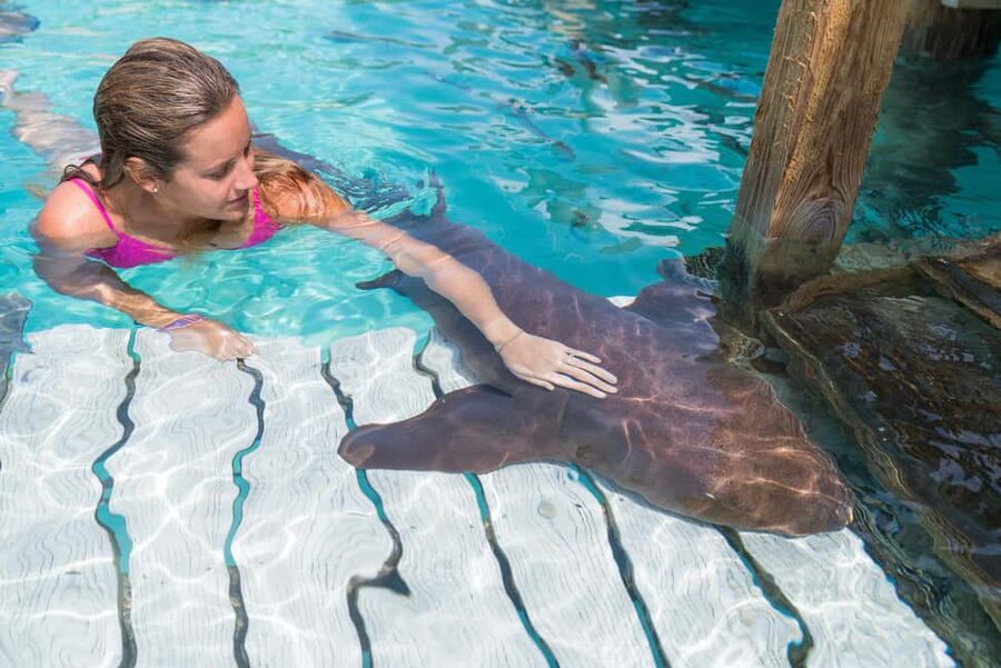 Nassau: Discover Exuma Island Hopping and Swimming Pigs Tour - Why this Exuma day trip packs so much in