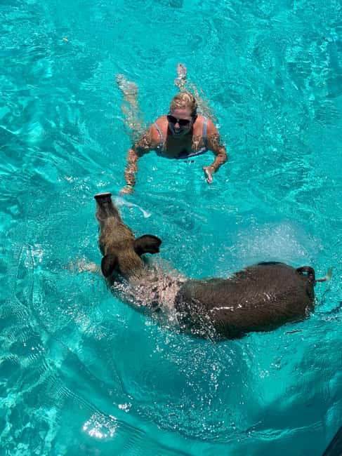 Nassau: Discover Exuma Island Hopping and Swimming Pigs Tour - Meeting the famous pigs at Big Major’s Cay