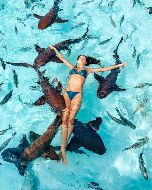 Nassau: Discover Exuma Island Hopping and Swimming Pigs Tour - Ending at a beach or sandbar