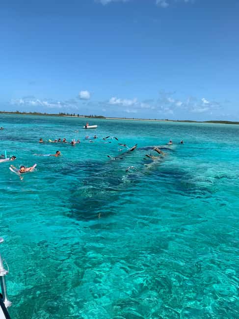 Nassau: Discover Exuma Island Hopping and Swimming Pigs Tour - Who will enjoy this day most?