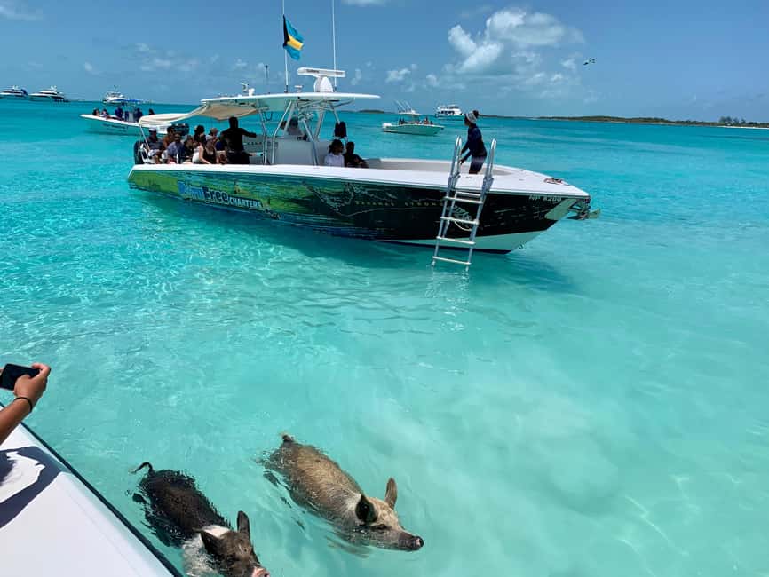 Nassau: Discover Exuma Island Hopping and Swimming Pigs Tour - The fast ride to Allen’s Cay