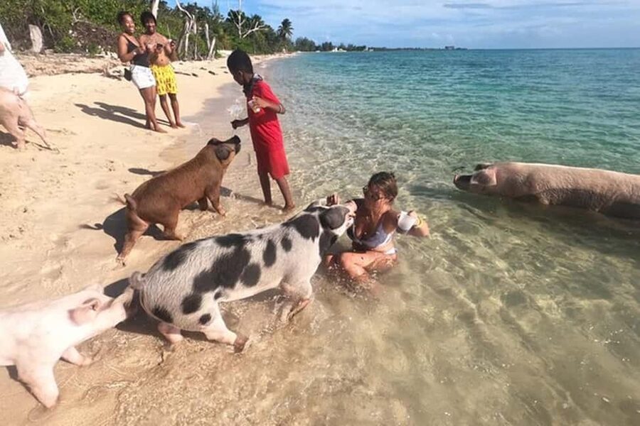 Nassau: Island Hopping Boat Trip with Lunch & Drinks - Green Cay and the turtle promise