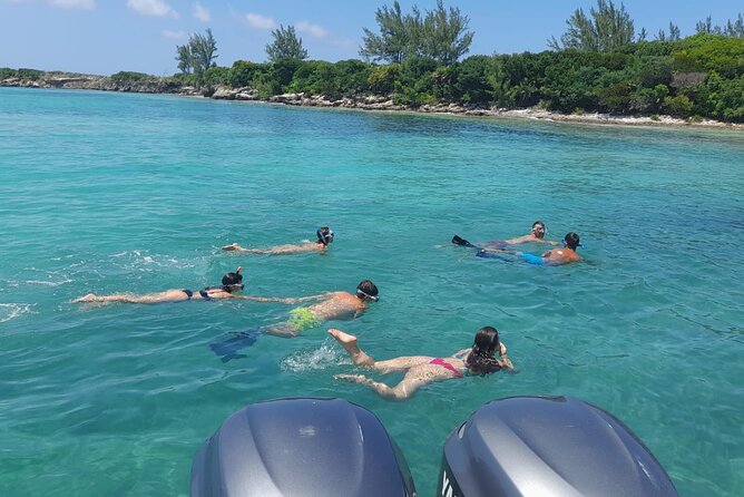 Nassau, Private Swimming Pig, Island Hopping, Snorkeling, Turtles - Timing, weather, and who should book