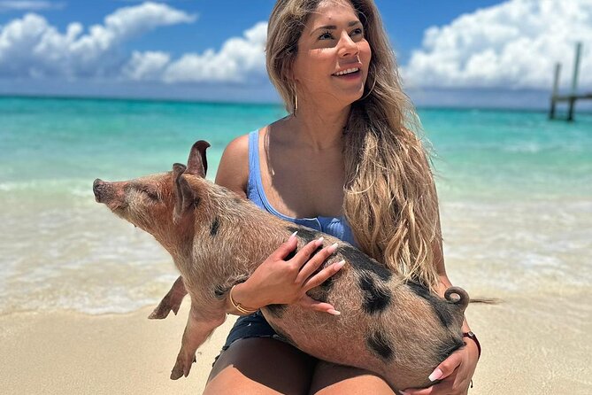 Nassau, Private Swimming Pig, Island Hopping, Snorkeling, Turtles - Green Cay and the chance to swim with turtles