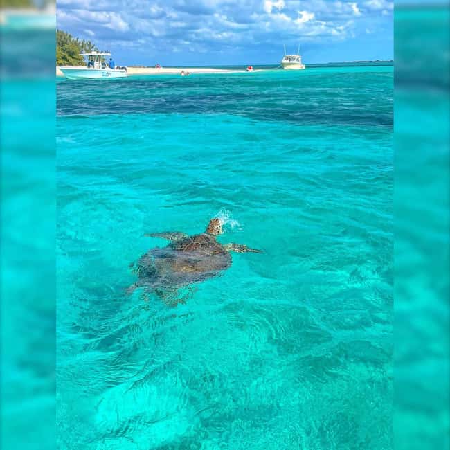 Nassau: Rose 3-Island Tour with Snorkeling and Lunch - Lunch, drinks, and what the price covers