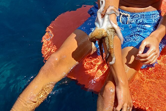 Naxos private fishing trips, lunch on board & island hopping - Trying traditional Greek fishing methods