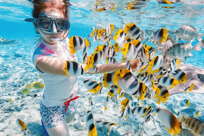 Nha Trang 3 Island VIP Tour - A fast start across Nha Trang Bay
