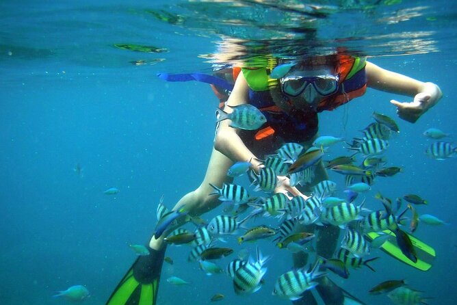 Nha Trang 3 Island VIP Tour - Hon Tam: mud, pools, and a change of pace