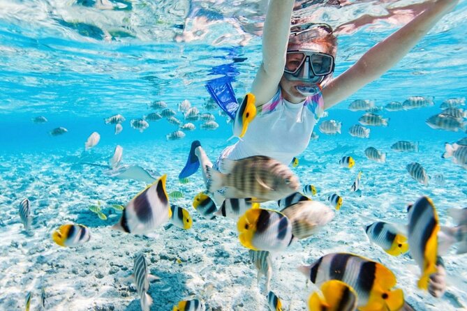 Nha Trang 3 Island VIP Tour - Who should book this tour?