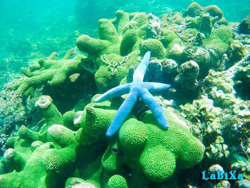 Nha Trang: Island Hopping Boat Tour with Snorkeling & Lunch - Booking, cancellation, and pickup details