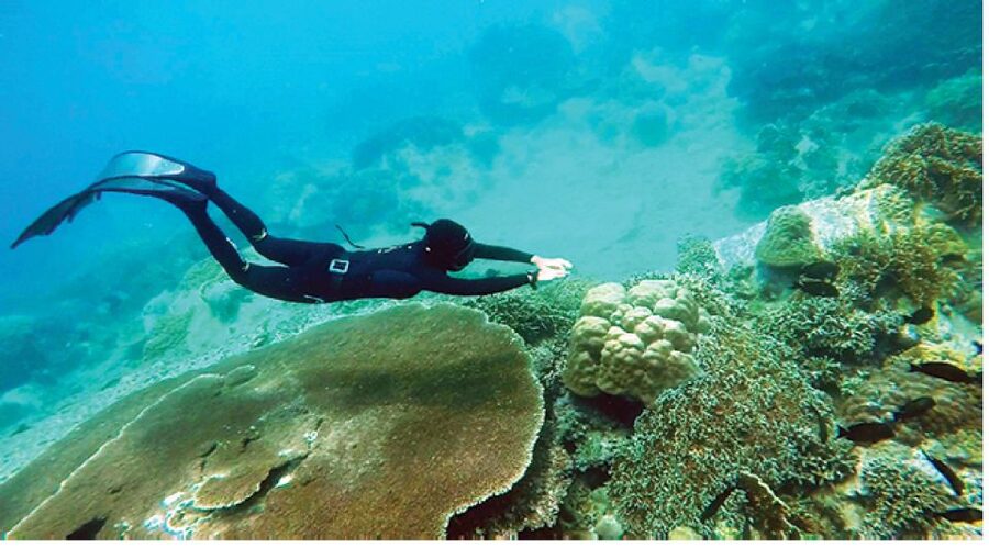 Nha Trang: Island-Hopping & Snorkeling Day Trip by Speedboat - Who should book this speedboat trip