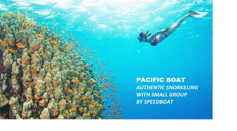 Nha Trang: Island-Hopping & Snorkeling Day Trip by Speedboat - Tam Island brings the first coral stop