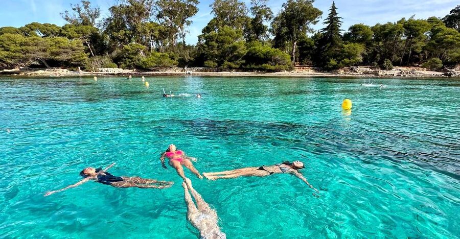 Nice: Lerins Islands Boat Tour with Snorkeling - Key points at a glance
