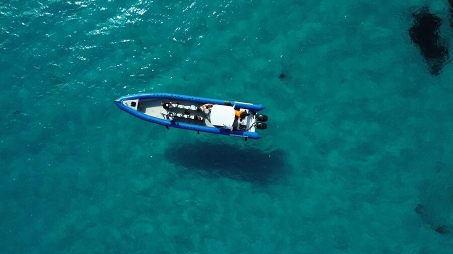 Nice: Lerins Islands Boat Tour with Snorkeling - Snorkeling beside the underwater sculptures