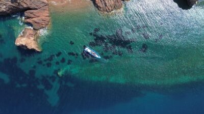 Lerins Islands Boat Tour with Snorkeling