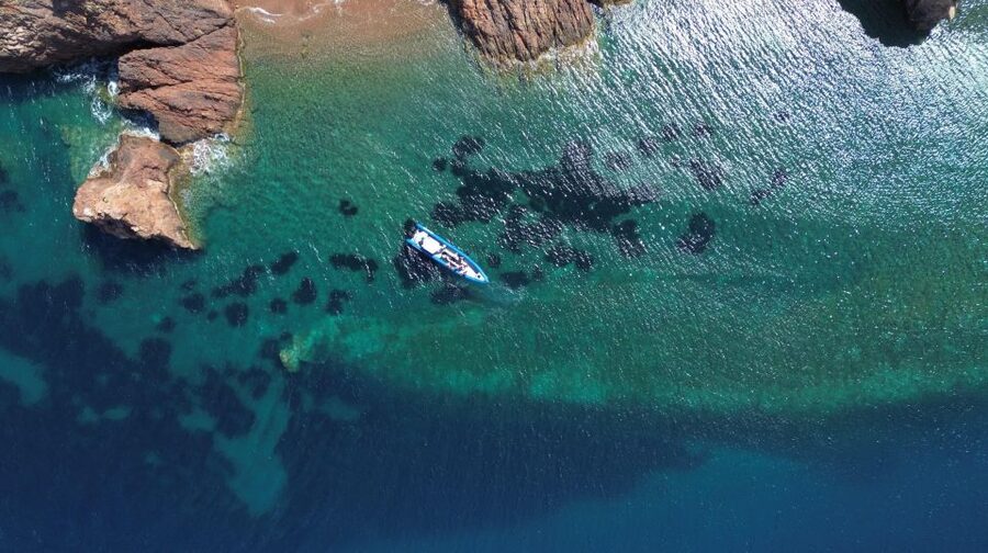 Nice: Lerins Islands Boat Tour with Snorkeling - The run across the Mediterranean