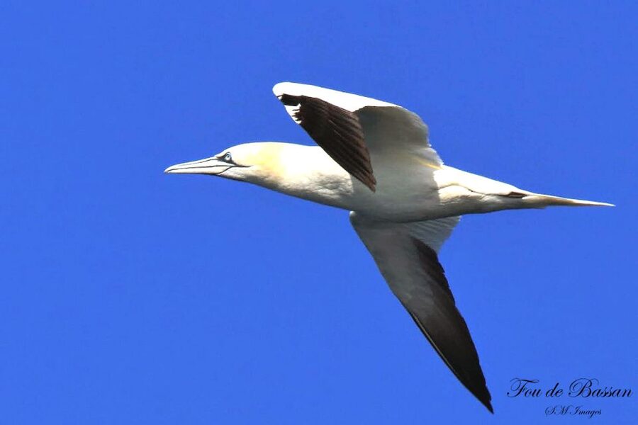 Olhão: 3 Islands Guided Sightseeing Tour with Lunch - Who will enjoy this experience most