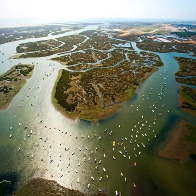 Olhão: Ria Formosa 2 Islands Boat Tour - How the three hours feel