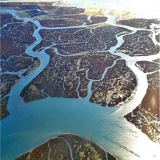 Olhão: Ria Formosa 2 Islands Boat Tour - Booking details that matter