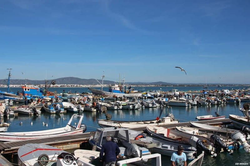 Olhão: Ria Formosa 3 Islands Guided Day Trip by Boat - Farol Island: a short final stop for photos