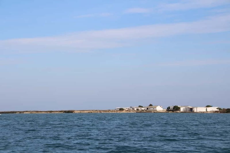 Olhão: Ria Formosa 3 Islands Guided Day Trip by Boat - What the guides add to the experience