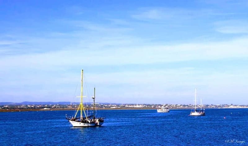 Olhão: Ria Formosa 3 Islands Guided Day Trip by Boat - Who will enjoy this Ria Formosa trip?