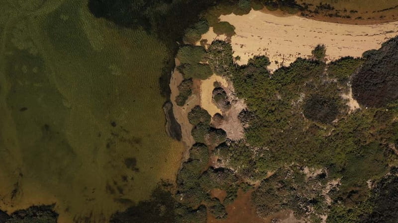 Olhão: Ria Formosa National Park and Islands Boat Cruise - Simple preparation for a better day
