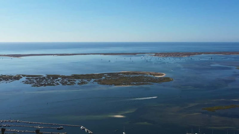 Olhão: Ria Formosa National Park and Islands Boat Cruise - Culatra Island and its small fishing community