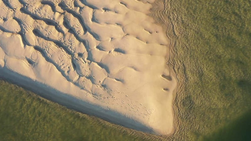 Olhão: Ria Formosa National Park and Islands Boat Cruise - Wildlife, sunsets, and the limits of nature watching