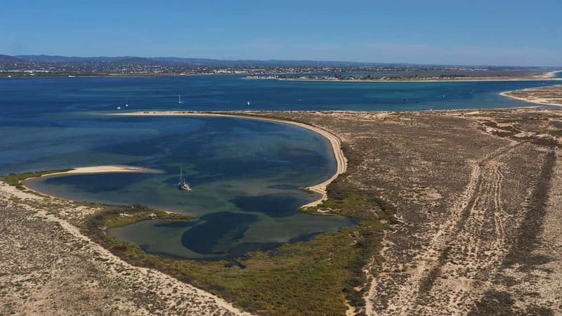 Olhão: Ria Formosa National Park and Islands Boat Cruise - The captain makes or breaks this short outing