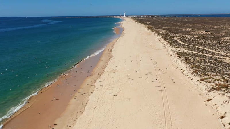 Olhão: Ria Formosa National Park and Islands Boat Cruise - Shared cruise or private boat
